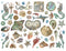 Stamperia Songs of the Sea Die-Cuts - Sea Creatures