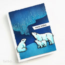 Hero Arts Clear Stamp & Die Combo Nothern Lights Polar Bears