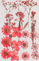 Poppy Crafts Dried Flowers Kit