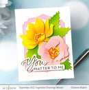 Altenew Encouraging Sentiments Die Set*