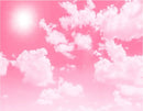 Picket Fence Studios Fabulously Glossy Card Stock - Cotton Candy Clouds*