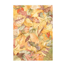 Stamperia Assorted Rice Paper Backgrounds A6 8/Sheets - Woodland