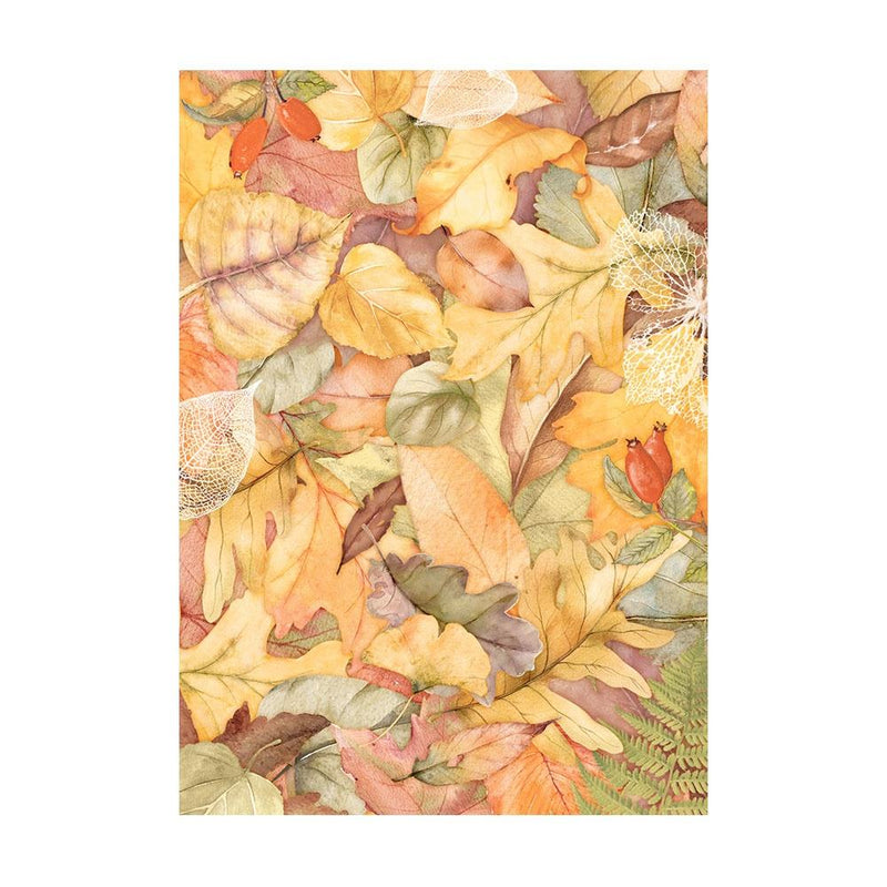 Stamperia Assorted Rice Paper Backgrounds A6 8/Sheets - Woodland