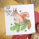 Hunkydory For the Love of Stamps - Snowy Squirrel*