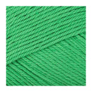 Fiddlesticks Posie Yarn 50g - Green