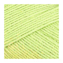 Fiddlesticks Posie Yarn 50g - Mint