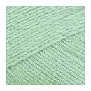Fiddlesticks Posie Yarn 50g - Sage
