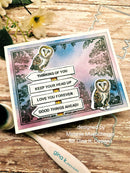 Greeting card with owl design and motivational phrases on a wooden surface.