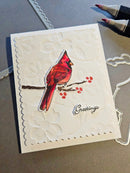 Card with a red cardinal bird illustration on a gray background