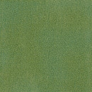 Graphic 45 Wonder Of Oz Pattern & Solid Cardstock 12''x 12'' - Emerald Green