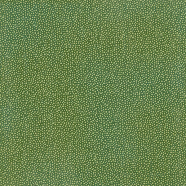 Graphic 45 Wonder Of Oz Pattern & Solid Cardstock 12''x 12'' - Emerald Green