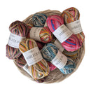 Fiddlesticks Harlequin 4ply Sock Yarn 50g - Claret