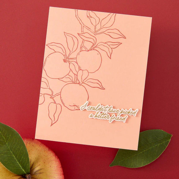 Hero Arts I Pick You Clear Stamp Set - Apple Branch