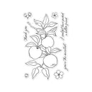 Hero Arts I Pick You Clear Stamp Set - Apple Branch