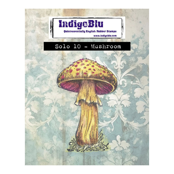 Mushroom design with 'IndigoBlu' branding on a decorative background