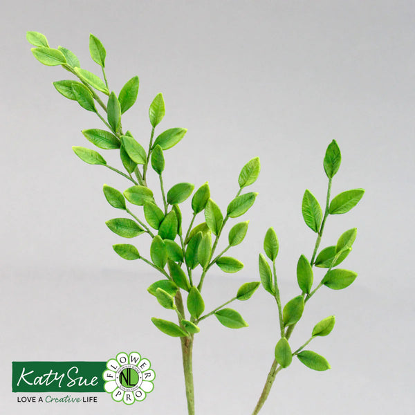 Two green leafy branches on a gray background with 'Katy Sue Flower Farm' logo.