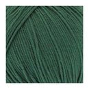 King Cole Cottonsoft DK Yarn 100g - Fern