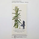 Lavinia Stamps - Herbalum Bob
