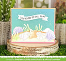 Lawn Cuts Custom Craft Dies - Stitched Seashells