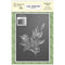 Lisa Horton Crafts Embossing Folder 5"X7" Magnolia Stem