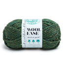 Lion Brand Wool-Ease Thick & Quick Yarn - Kale