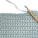 Lion Brand Vanna's Choice Yarn 100g - Barley