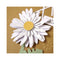 Hunkydory Moonstone Dies - Dimensional Flowers - Gerbera*