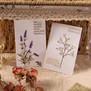 Poppy Crafts Natural Sticker Pack - Lavender
