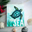 Picket Fence Studios Find Me by the Sea Word Die Set