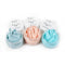 Picket Fence Studios Paper Glaze Glass Sampler Set 3 Pack - Corals