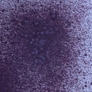 Pink Ink Designs Airless Chalk Mister 50ml - Mulberry Wine*