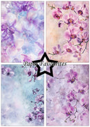 Four floral designs with purple and pink flowers on a textured background, featuring the brand 'Paper Favourites'.