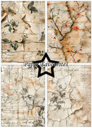 Set of floral and textured paper designs with 'Paper Favourites' branding.