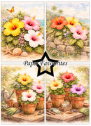 Set of four images featuring tropical flowers and plants with 'Paper Favourites' branding.