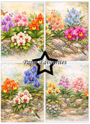 Set of four floral illustrations with colorful flowers and hummingbirds, featuring 'Paper Favourites' branding.