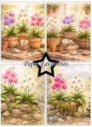 Collage of four images featuring potted orchids with gardening tools and natural settings.