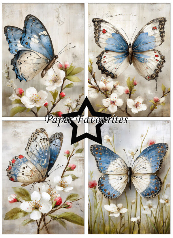 Butterfly and floral design with 'Paper Favourites' branding.