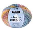 A ball of Patons Sierra Chunky yarn with a light blue paper label, featuring a variegated color pattern of pastel yellow, pink, blue, and green on a white background.
