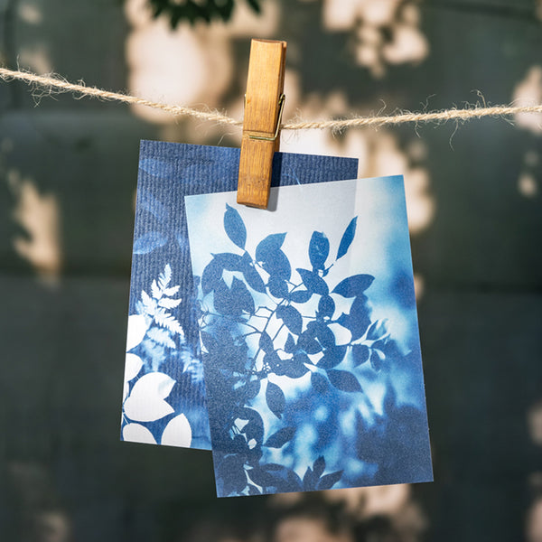 Two blue botanical prints hanging on a clothesline with a wooden clip.