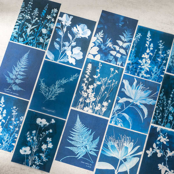 Collection of blue and white botanical prints on a wooden surface