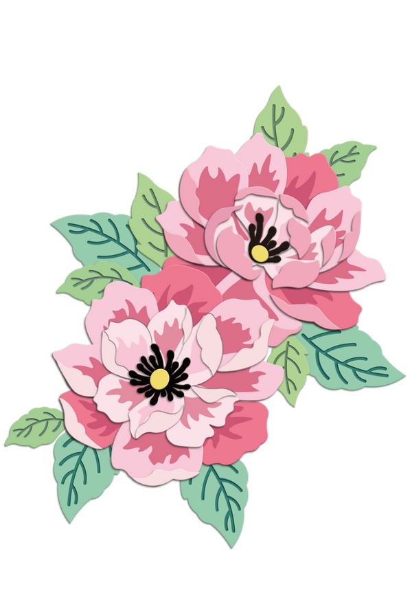 Two pink flowers with green leaves on a white background