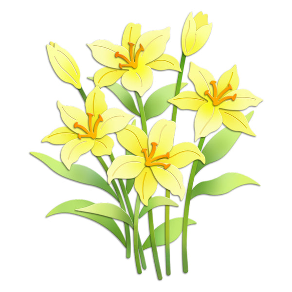 Bouquet of yellow flowers with green leaves on a white background