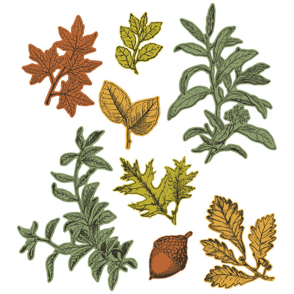 Set of various leaf and acorn designs on a white background