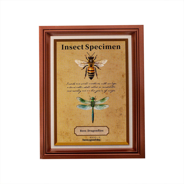 Poppy Crafts Insect Specimens PET Stickers - Bees & Dragonflies