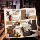 Poppy Crafts Insect Specimens PET Stickers - Butterfly Beetle