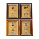 Poppy Crafts Insect Specimens PET Stickers - Butterfly Moth