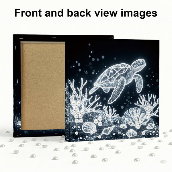 Decorative box with turtle and coral design on front and back, surrounded by small decorative items.