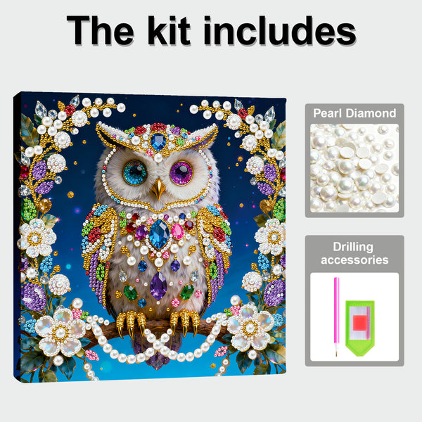 Decorative diamond painting kit with owl design, pearl diamonds, and drilling accessories on a blue background.