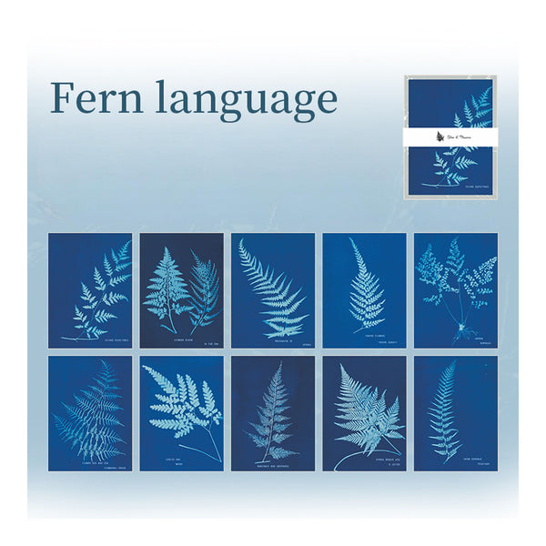 Collection of blue fern illustrations with 'Fern language' text on a light blue background.