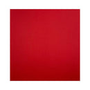 Solid red square on a white background